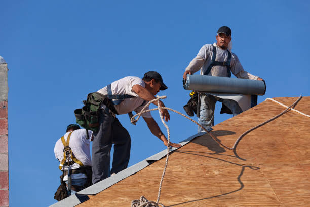 Best Flat Roof Repair Services  in Green Knoll, NJ