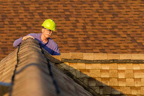 Roof Gutter Cleaning in Green Knoll, NJ