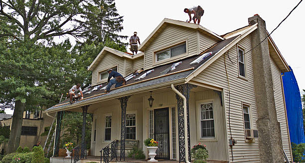 Best Storm Damage Roof Repair  in Green Knoll, NJ
