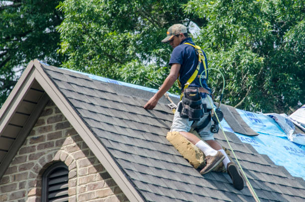 Best Gutter Installation and Roofing  in Green Knoll, NJ